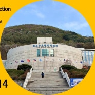 Freedom Protection Peace Museum Cherry Blossom Road Dongducheon-si, Gyeonggi-do 자유수호평화박물관 벚꽃길 220414