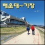[등산/트레킹] 해운대 미포 ~ 기장 대변항 걷기