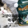 고양이모래추천 '매직카펫 프리미엄' 고양이모래대용량!