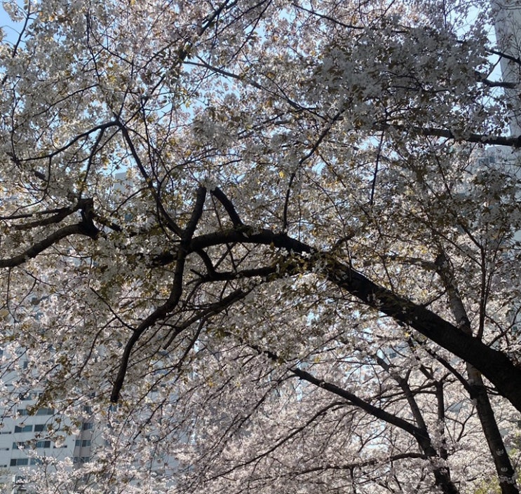 2022 04 - a third of hectic April : 네이버 블로그