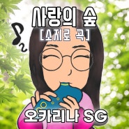 사랑의 숲 오카리나 연주/소지로 곡/SG