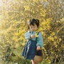 필름사진 엄마스냅 캐논eos5/개나리꽃다섯살의 봄날