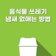 음식물쓰레기 악취, 벌레 잡는 방법