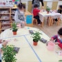 유치원 체험학습 용인장평초등학교병설 반려식물심기 원예수업 초록친구만들기