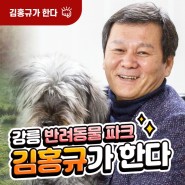 [김홍규가 한다] 강릉 반려동물 파크