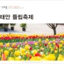 태안 튤립 축제 세계 튤립 공원 안면도 꽃박람회 봄꽃 축제