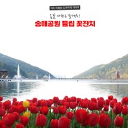 송해공원 튤립 꽃잔치 눈호강