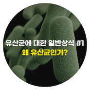 유산균에 대한 일반상식 #1, 왜 유산균인가?
