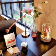 [삼성역카페] 코엑스 근처 카페 '윈스커피' 에서 맛있는 뚱카롱과 커피 한잔!