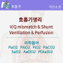호흡기 생리와 Ventilation, Perfusion, V/Q mismatch, shunt의 이해 (의학용어 PaO2, PAO2, FiO2, AaDO2, P(Aa)O2)