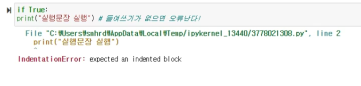 [ Pyton 오류 ] expected an indented block : 네이버 블로그