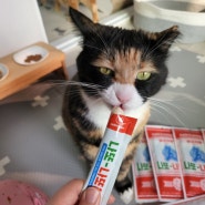 고양이츄르 네꼬모리 나또나또해, 고양이건강간식 먹여봤어요!