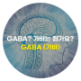 GABA에 대해서 제대로 알기!