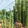 제주서쪽 큰규모의 식물원 '한림공원' 다녀오기