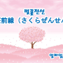 【전화일본어】 일본어에는 '벚꽃전선'이라는 말이 있다고?? 벚꽃으로 보는 일본어 학습 by [알파일본어]
