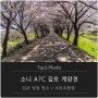 김포 벚꽃 명소 계양천 소니 A7C, 삼양 단렌즈 서이추환영