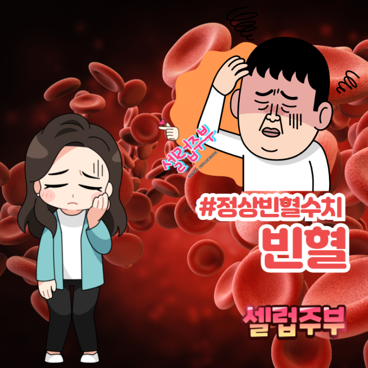 빈혈 증상 원인, 정상 빈혈수치 자가진단 : 네이버 블로그