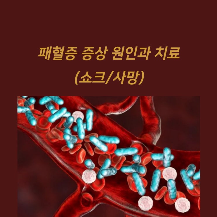 패혈증 증상 원인과 치료(쇼크/사망) : 네이버 블로그