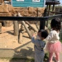 무안회산백련지 동물농장,놀이터가 있어 아이와 갈만한곳으로 좋아요!