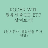 KODEX WTI 원유선물(H) ETF 살펴보기! (원유투자, 원자재투자, KODEX WTI 원유선물 주가, 전망)