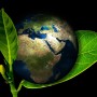 [부산] 지구의 날, 환경보호를 위해 어떤 실천을 하나요?