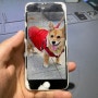 [성수] 아이패드 케어 iPhone 6S 배터리 수리