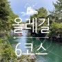 2022년 올레길6코스 4시간 완주 후기 (쇠소깍~제지기오름~이중섭거리)