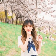일본 여고생 컨셉으로 찍는 서울 벚꽃사진 촬영하기