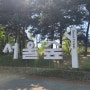 서울숲 꽃구경 소풍가기 좋은 피크닉장소