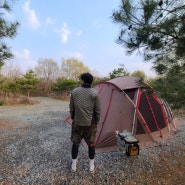 144) 봄캠핑 연천 캠핑장 평화강변수목원
