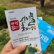 제12회 양평 용문산 산나물 축제 방문 후기