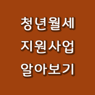 청년 월세지원 사업 주요내용. 신청시기 및 방법. 총 240만원을 지원받으세요.