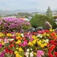꽃놀이하기 좋은 농촌테마파크는 봄에 가야 좋다.