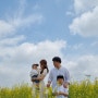 [안성] 안성팜랜드 온가족이 즐거운 체험목장, 안성팜랜드유채꽃, 아이랑 갈때 팁