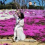 진안 꽃잔디동산, 봄꽃축제 가볼만한곳