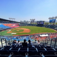 220417&220423 기다리던 야구장⚾️