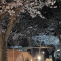 <의령벽계야영장/bkcamping 2022.03.30-04.01.> 설렘 가득한 벚꽃캠핑