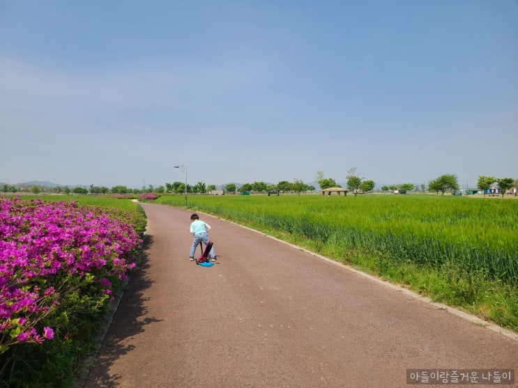 [함안] 강나루 생태공원/아이와함께/청보리밭/아이와자전거타기