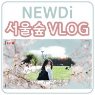 뉴욕쟁이디저트 직원들의 서울숲 피크닉 vlog