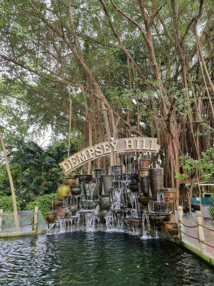 싱가포르 핫플레이스 뎀시힐 Dempsey hill 뎀시 프로젝트 Dempsey Project, 괴물 물고기, 카페 헤서웨이 ...