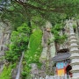 봉황산 일붕사 무더위를 피하는 동굴탐험여행