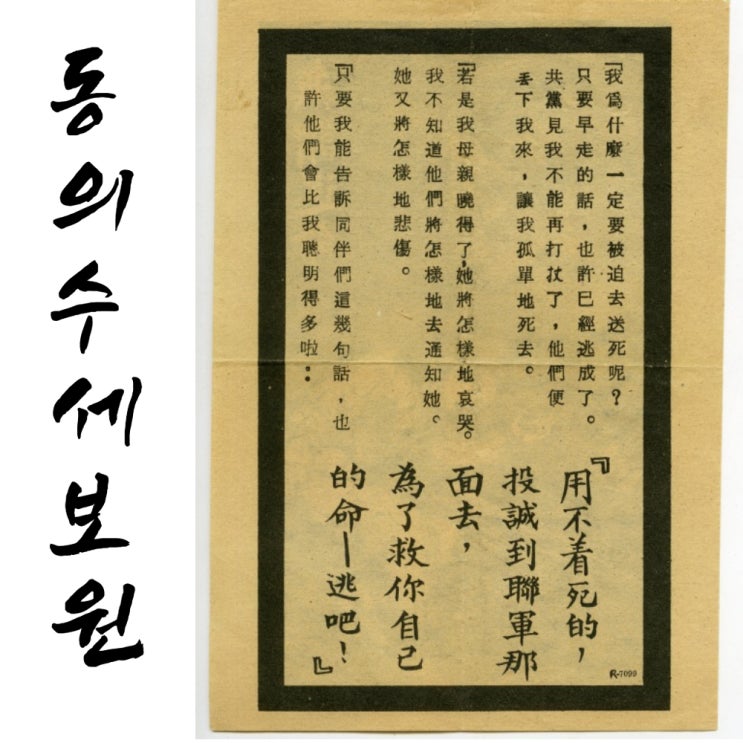 8체질의학 음양을 구분하는 기준 : 네이버 블로그