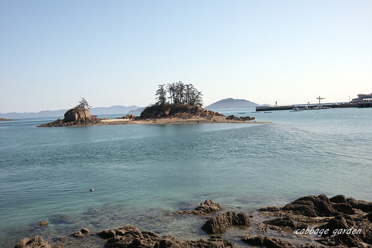 군산 무녀도와 무녀2구 마을버스 카페