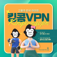 퀄리티 높은 한국 IP - kingkongvpn