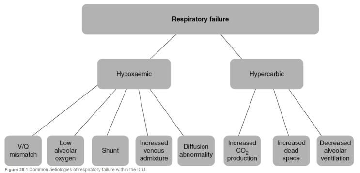 Hypoventilation vs V/Q mismatch vs shunt. : 네이버 블로그