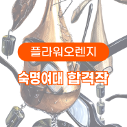 울산플라워미술학원 2022 숙명여대 합격작