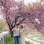 [산청 가볼 만한 곳] 경남 진주 근교 산청 겹벚꽃 숨은 명소 "산청 오부면"