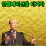 1981 조용기 목사 설교 하다 한국의 명설교 30선집 컨설팅 큰은혜