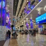 [2022년두바이] 두바이여행 첫날(2) 두바이공항, 수화물 고장보상신고, 환전, 로밍 vs 두바이 현지 유심칩 구매 관련
