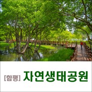 함평 자연생태공원